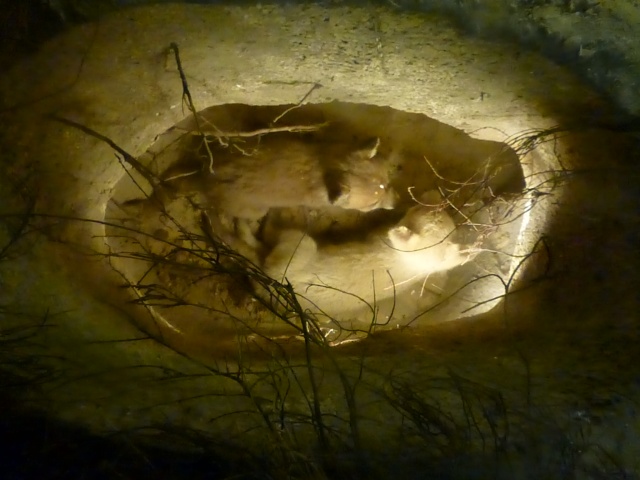 Klik voor de volgende foto