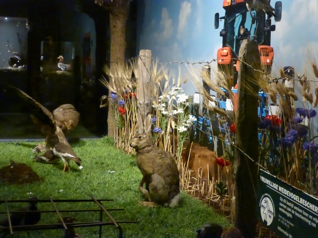 Klik voor de volgende foto