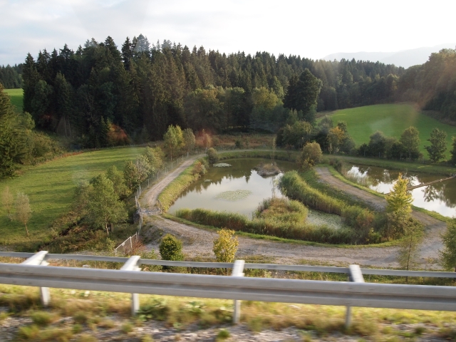 Klik om de foto groter te zien (640x480 pixels; 232 KB)
